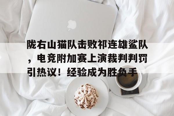 包含陇右山猫队击败祁连雄鲨队，电竞附加赛上演裁判判罚引热议！经验成为胜负手的词条九游会对战入口